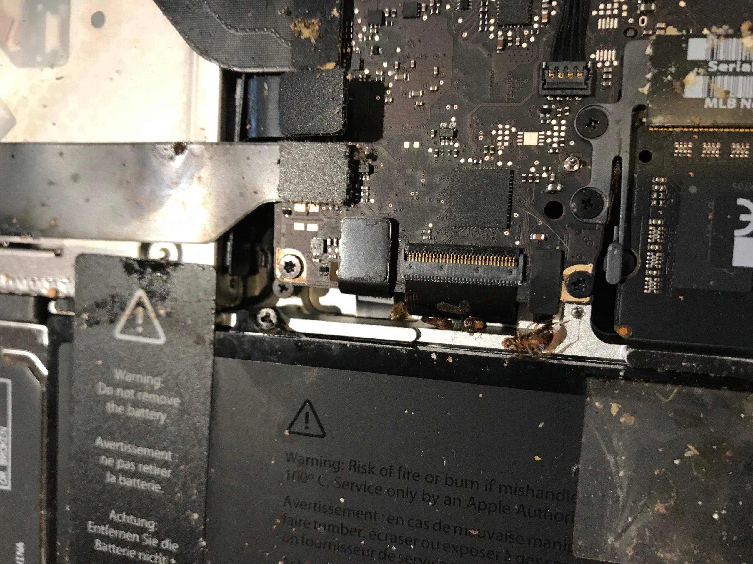 Mac Repair Austin near me iMac